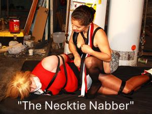 joycealexander.net - "The Necktie Nabber" - Photo/Slideshow - July 31 thumbnail